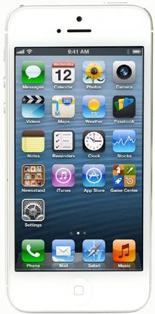 Смартфон Apple iPhone 5 64Gb White & Silver - Усть-Джегута