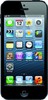Apple iPhone 5 16GB - Усть-Джегута